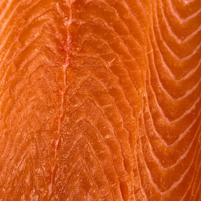 Faroe Islands Salmon