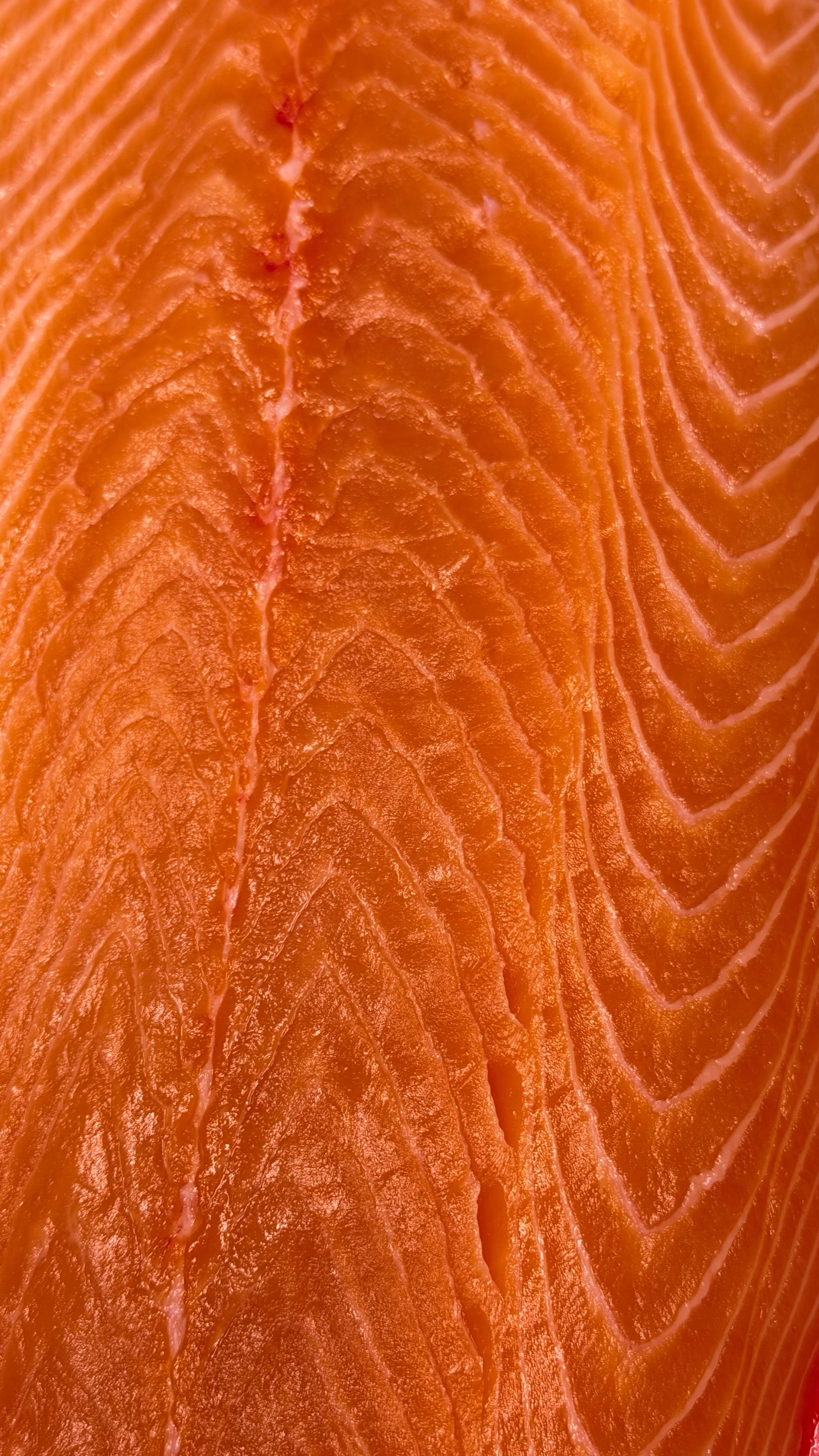 Faroe Islands Salmon