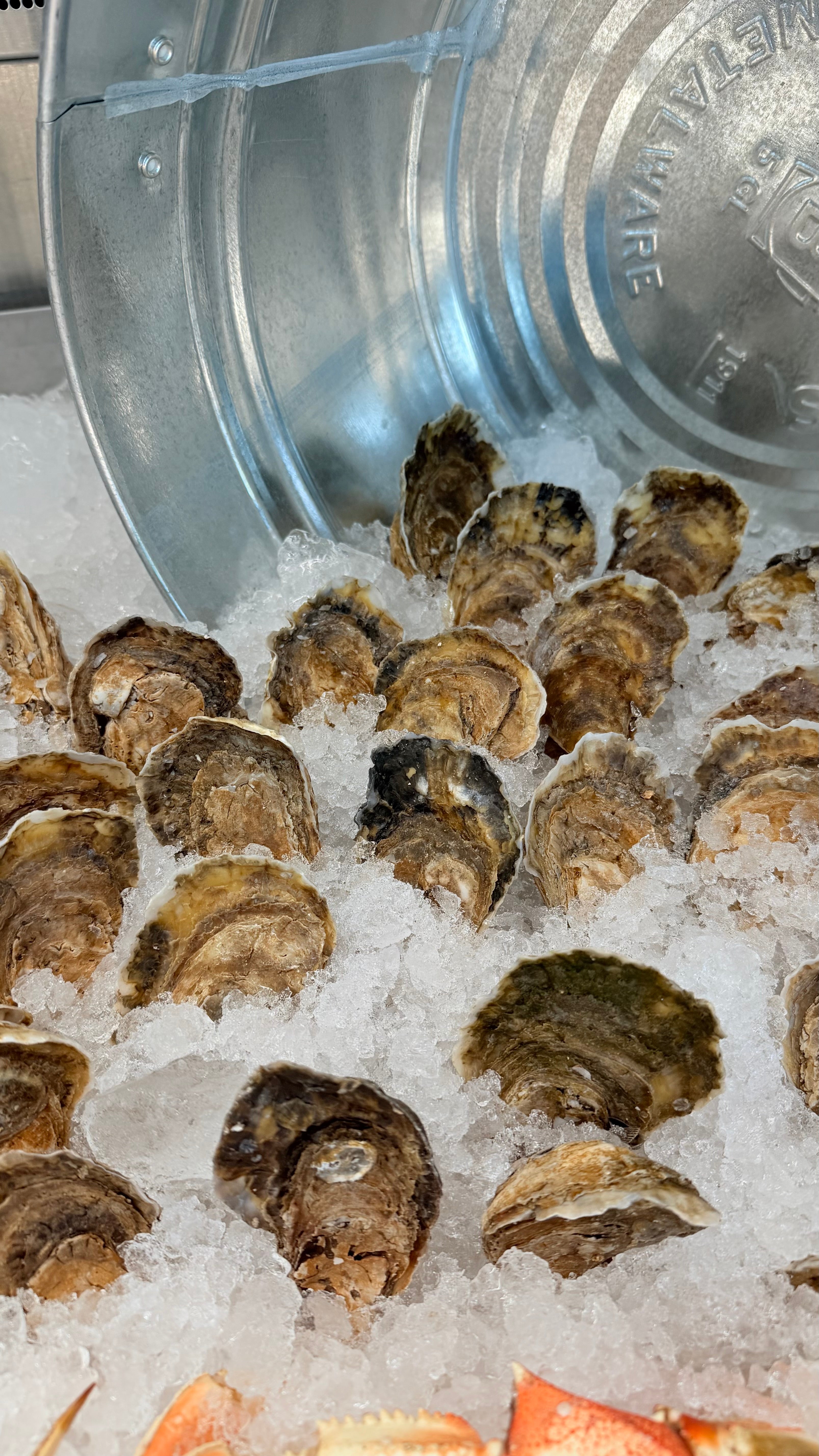 Blueberry East Coast Oysters