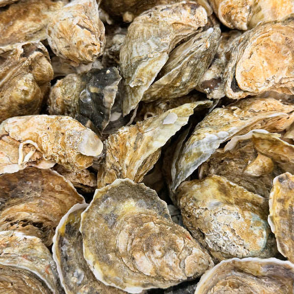 SEAFOOD