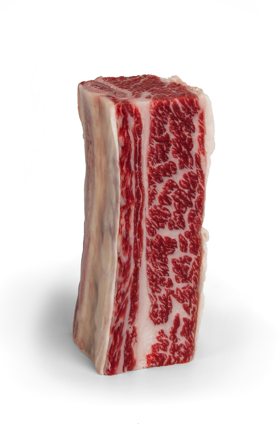 CAB Prime Bone-In Short Ribs